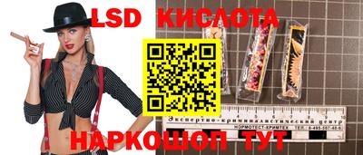 apvp Славгород