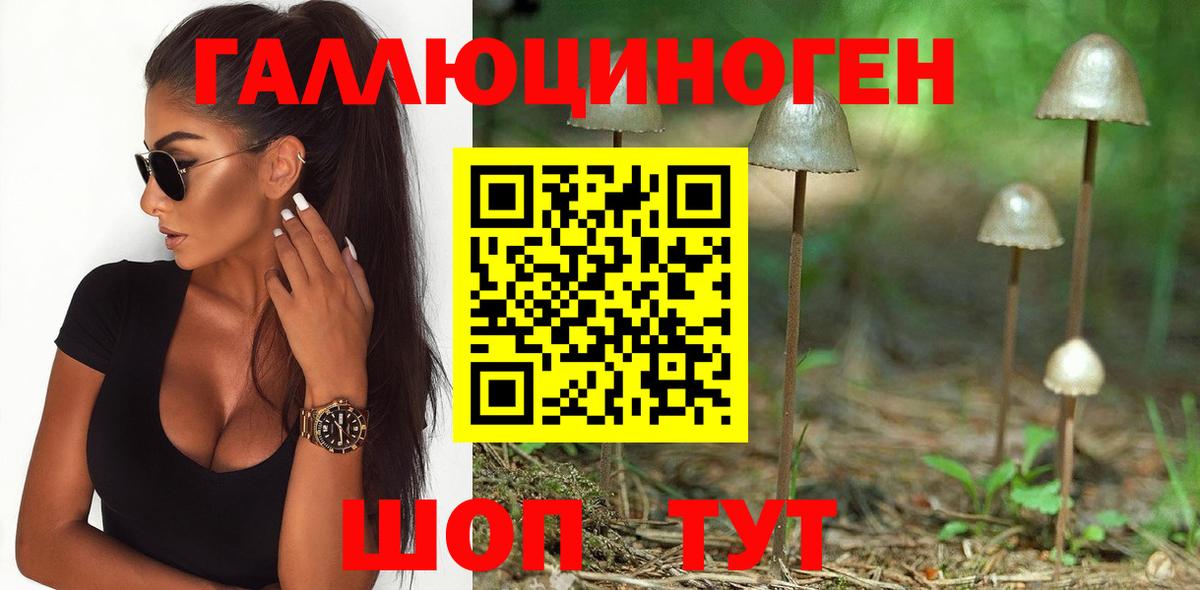Псилоцибиновые грибы мицелий Лениногорск