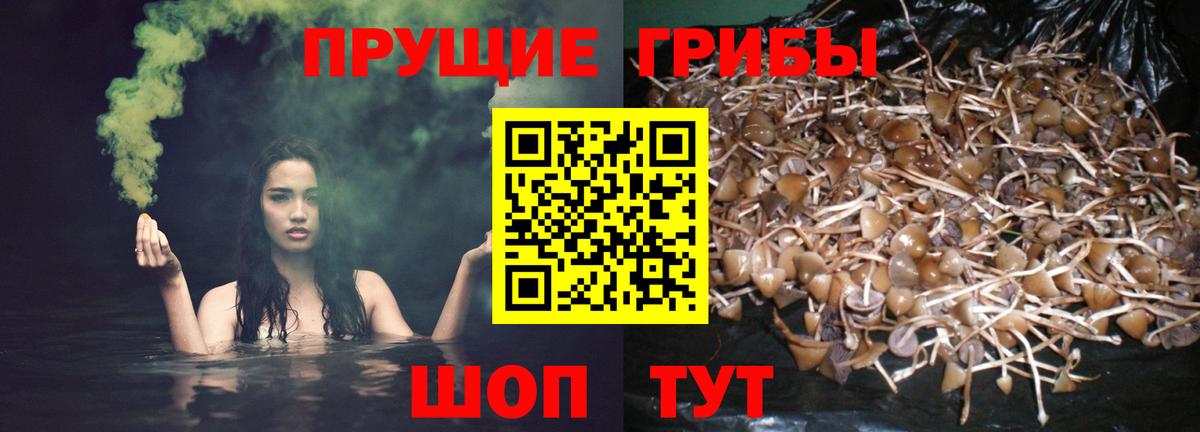 Лениногорск  Псилоцибиновые грибы ЛСД  Галлюциногенные грибы Magic Shrooms  как найти наркотики  Вход с VPN 